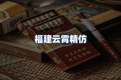 福建云霄精仿